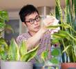 Understanding And Addressing Pest And Disease Problems Of Indoor Plants